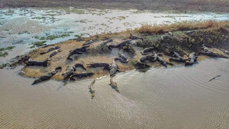 Crocodile Park Bungalow Kataragama Eksteriør bilde