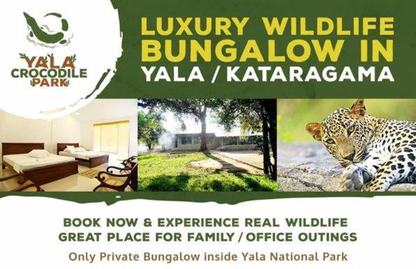 Crocodile Park Bungalow Kataragama Eksteriør bilde